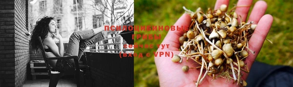метадон Белокуриха