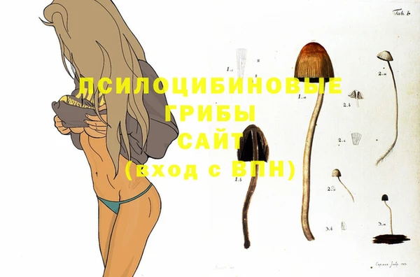 метадон Белокуриха