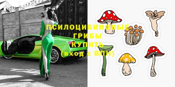 дурь Белоозёрский