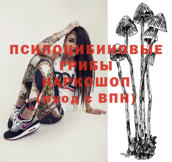 метадон Белокуриха