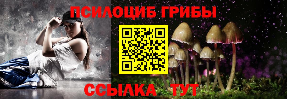 Галлюциногенные грибы Cubensis  Вход с VPN  Обь 